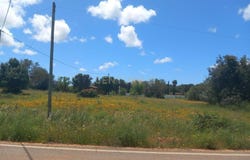 Silves, Algarve
