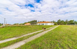 Tocha, Coimbra District