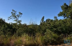 Ferreira do Zêzere, Santarém 2240-300