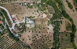 Torres Novas, Santarém District