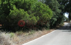 Quarteira, Algarve