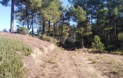 Seixal, Setubal
