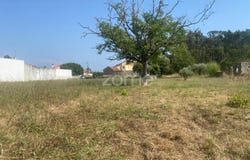 Cantanhede, Coimbra District