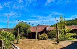 Nespereira, Braga