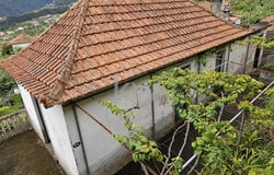 Faial, Madeira 9230