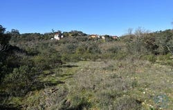 Ferreira do Zêzere, Santarém 2240-300