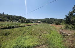 São Miguel, Coimbra District