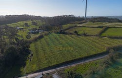 Cela, Leiria 2460