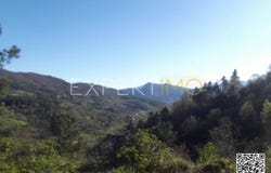 N18-1, Guarda, Guarda District 6300