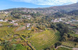 Melgaço, Viana do Castelo District