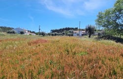 Margem, Portalegre District