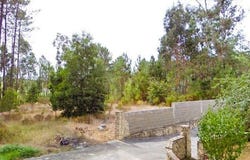 Marinha Grande, Leiria District