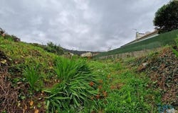 Viana do Castelo, Viana do Castelo 4900-850
