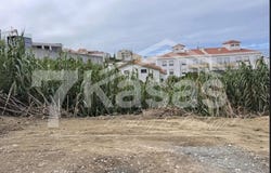 Ericeira, Lisbon 2655