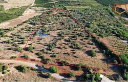 Silves, Algarve