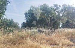 N. Sra da Graça de Póvoa e Meadas, Castelo de Vide, Portalegre District 7320-011