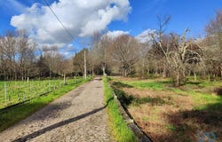 Viana do Castelo, Viana do Castelo District