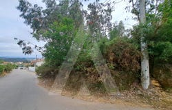 Argoncilhe, Aveiro District