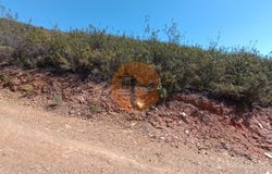 Faro, Algarve 8950