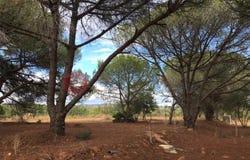 Boliqueime, Algarve