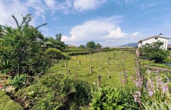 Lanhelas, Viana Do Castelo 4910