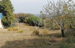 Turquel, Leiria District