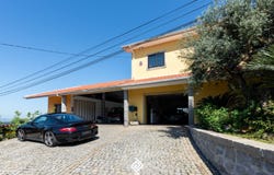 Raiva, Aveiro District