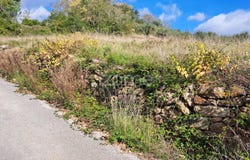 Batalha, Leiria District