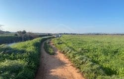 Quarteira, Algarve