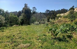 Fafe, Braga
