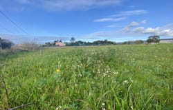 Alfeizerão, Leiria District