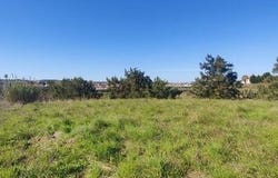 Torres Vedras, Lisboa 2560-007