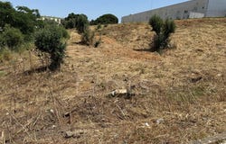 Setúbal (São Sebastião), Setúbal 2910