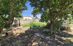 Paião, Coimbra District