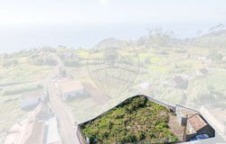 Canhas, Madeira 9360