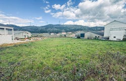 São Martinho das Chãs, Viseu District