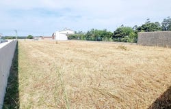 Leiria, Leiria District