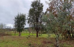 Penamacor, Castelo Branco District