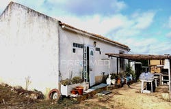 Cartaxo e Vale da Pinta, Cartaxo, Santarém District 2070