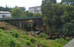 Oliveira de Azeméis, Aveiro District