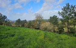 Alvorninha, Leiria District