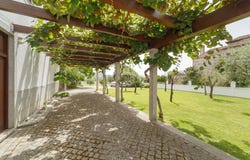 Ínsua, Viseu District
