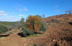 Odeleite, Algarve