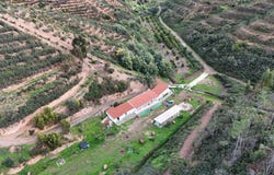 Faro, Algarve 8550-011
