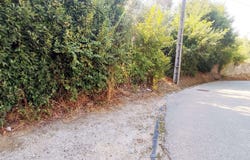 Antuzede e Vil de Matos, Coimbra District