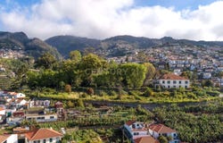 Ilha da Madeira, Madeira