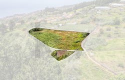 Ponta Do Sol, Madeira 9350