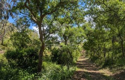 Grândola e Santa Margarida da Serra, Grândola, Setubal 7570