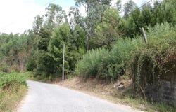 Penafiel, Porto District