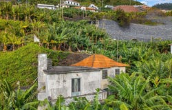 MADALENA DO MAR, Madeira